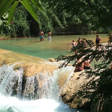 Chartaria
