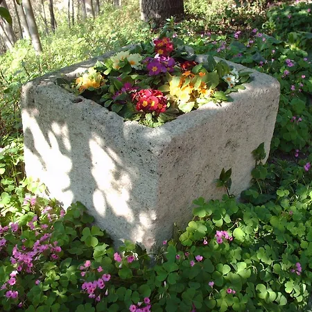 Bed and breakfast Chartaria
